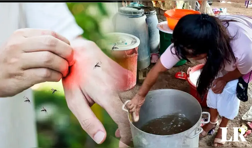 Conoce qué acciones tomar en caso de presentar dengue. Foto: composición de Fabrizio Oviedo/Diario La Hora/difusión