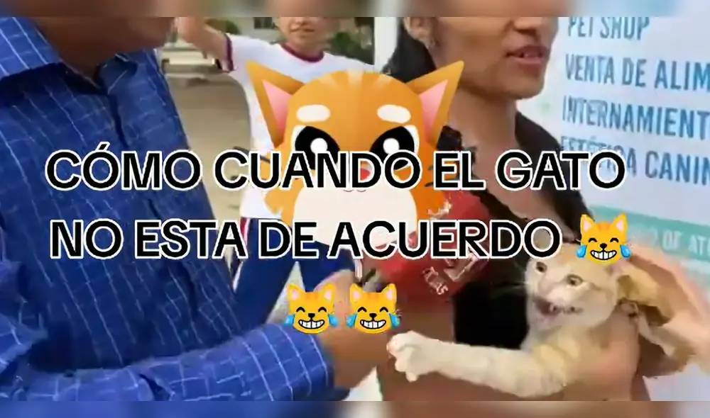 El michi sacó risas en TikTok: composición LR/ TikTok/ @gabrielremix2021