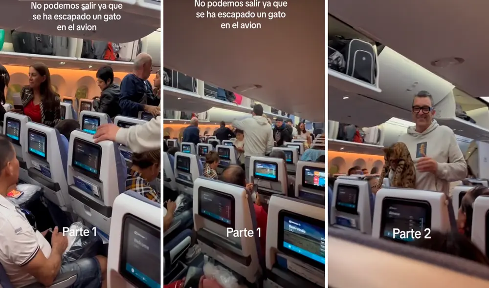 El minino hizo sudar la gota gorda a los pasajeros y tripulación en su búsqueda. Foto: composición LR/@Jesusedisonpereza/TikTok