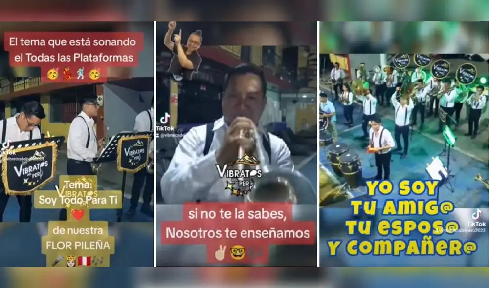 Video que se ha popularizado en TikTok y Facebook. Foto: captura de Facebook/Vibratos del Perú - Video: Vibratos del Perú/Facebook