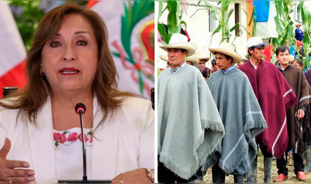 Los ronderos se alistas a protestar contra Dina Boluarte y exigir su renuncia. Foto: composición de Fabrizio Oviedo LR