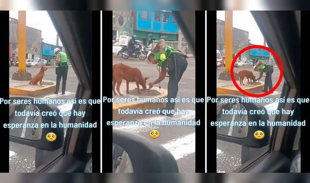 Video de policía fue visto y comentado por miles de cibernautas. Foto: composición LR/TikTok/@deividmarquez Video de policía fue visto y comentado por miles de cibernautas. Foto: composición LR/TikTok/@deividmarquez