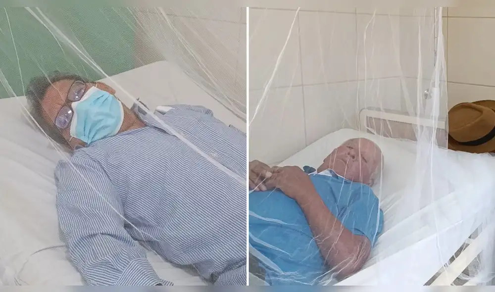 Ambos padres de familia se encuentran internados por dengue. Foto: composición LR/Yolanda Goicochea