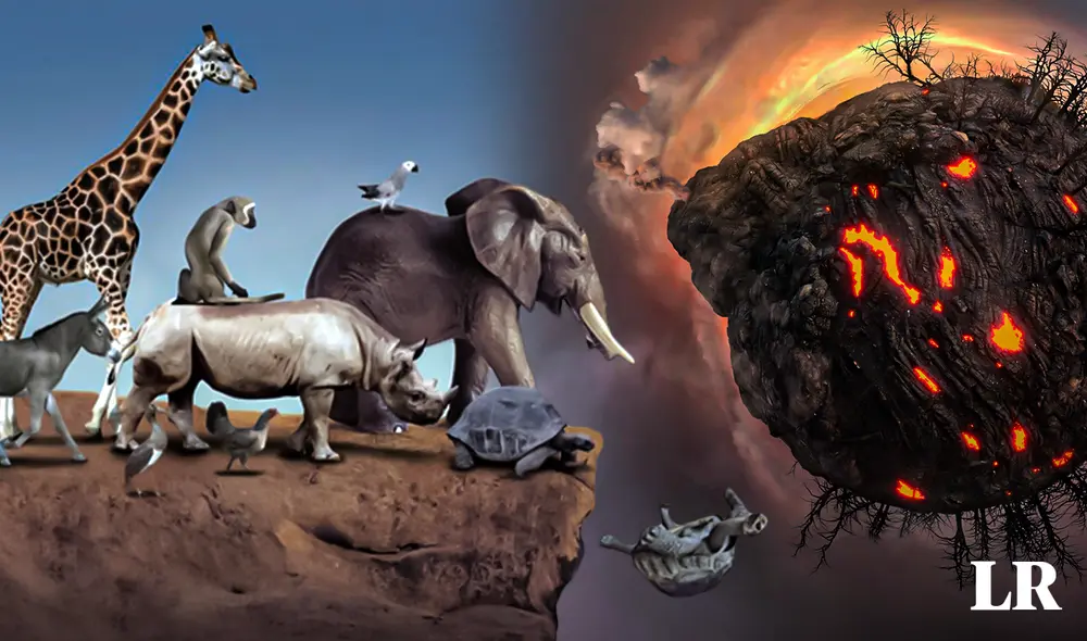 La anterior extinción masiva confirmada acabó con los dinosaurios en la Tierra. Foto: composición LR