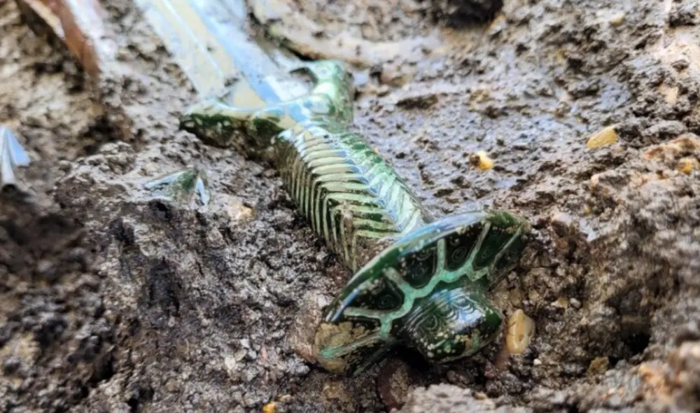 La espada, que dataría de la Edad de Bronce, fue hallada en Alemania. Foto: Archaologie / Büro Dr Woidich