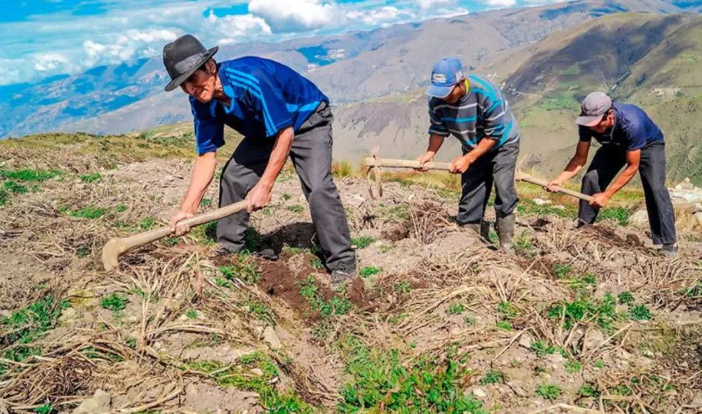 El Midagri señala que el Día del Campesino fue promulgado el 24 de junio de 1969. Foto: El Peruano