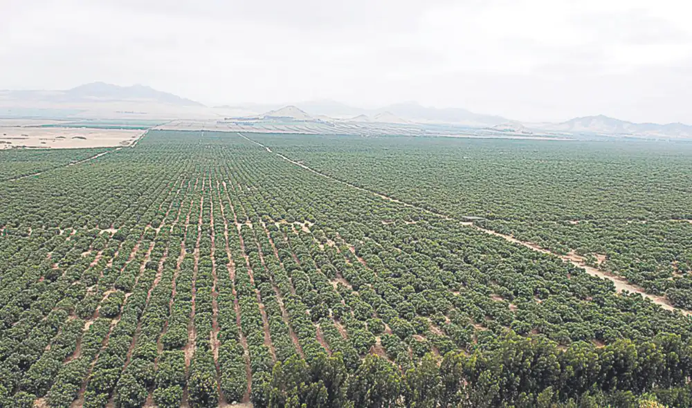 Precisión. Agua del Santa debe estar garantizada para el Proyecto Especial Chavimochic . Foto: difusión