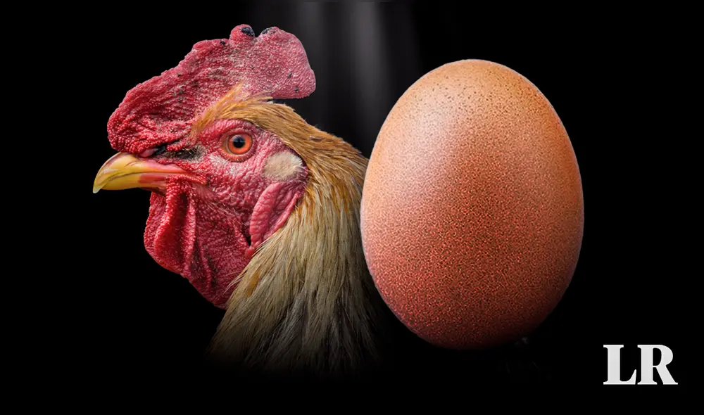 A lo largo de la historia ha habido diferentes respuestas a la pregunta sobre el huevo y la gallina. Foto: composición LR