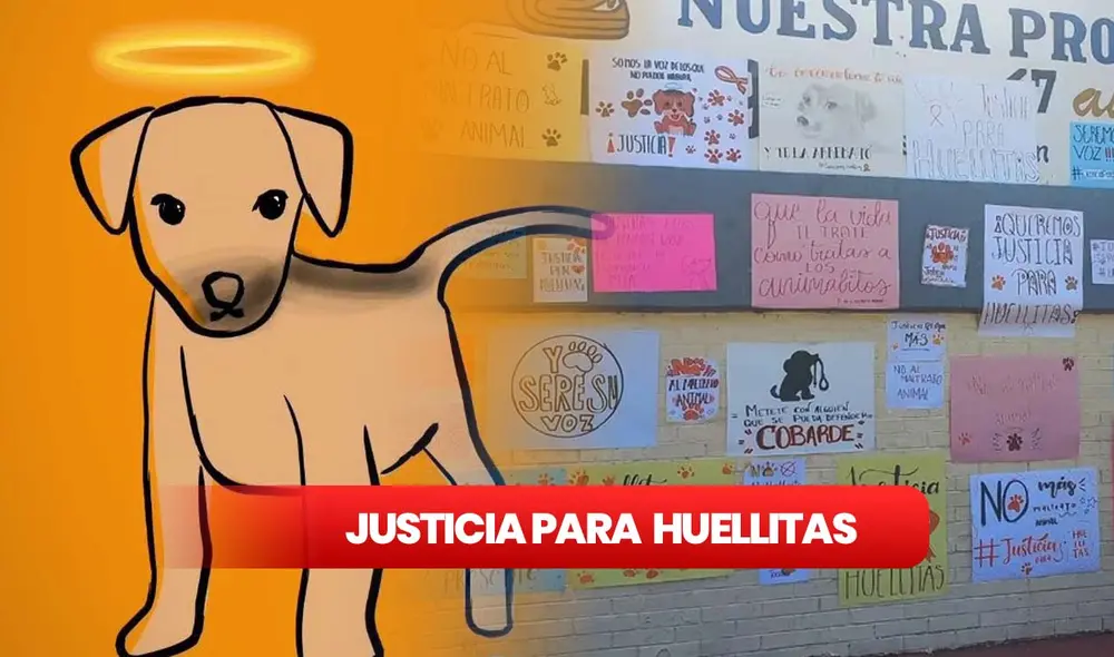 Estudiantes de Puebla piden justicia para Huellitas, quien fue torturado y asesinado por una joven que lo había adoptado. Foto: Facebook/Composición LR Estudiantes de Puebla piden justicia para Huellitas, quien fue torturado y asesinado por una joven que lo había adoptado. Foto: Facebook/Composición LR
