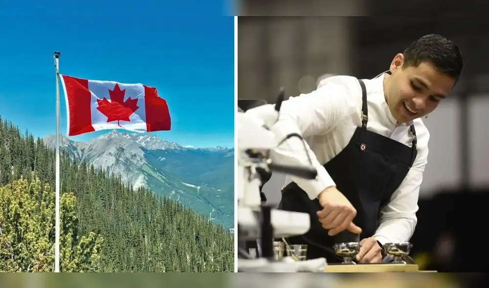 La iniciativa ofrece tres programas en los cuáles podrás ganar dinero laborando. Foto: Inmigration/PDG