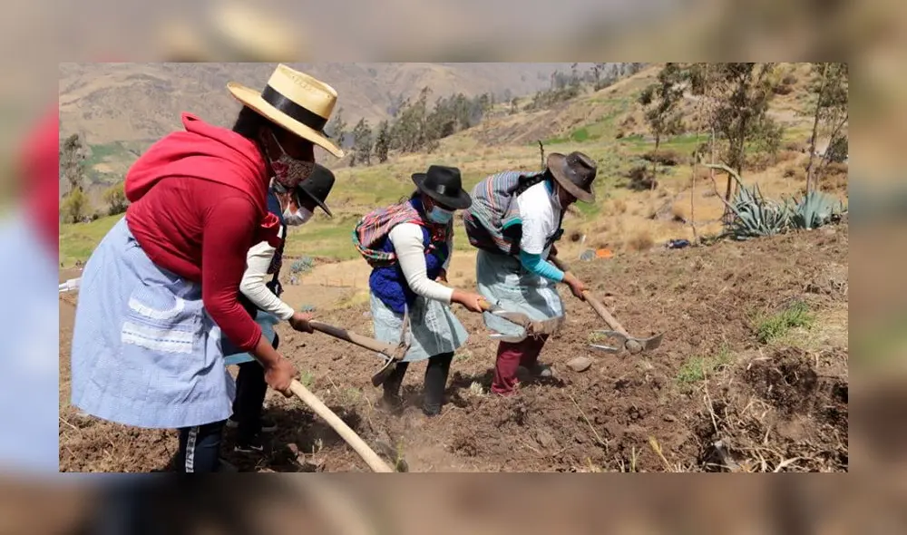 Más del 67% del emprendedurismo está encabezado por mujeres. Foto: Gob.pe Más del 67% del emprendedurismo está encabezado por mujeres. Foto: Gob.pe