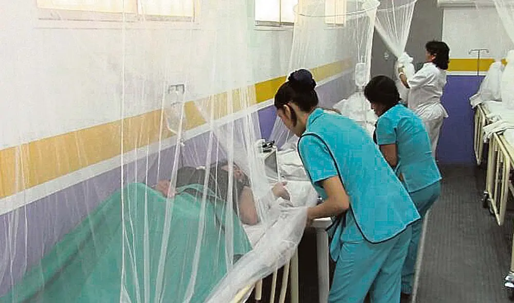 Incertidumbre. Muertes siguen en aumento por mosquito. Foto: difusión