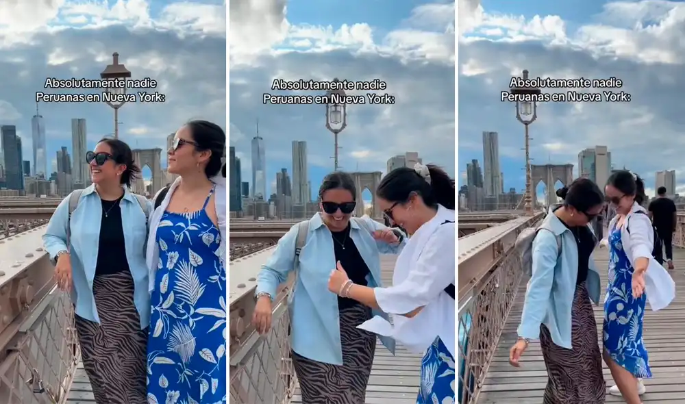 Los cibernautas resaltaron que el Perú siempre se lleva en las venas. Foto: composición LR/capturas de TikTok/@AnaPaulaChavez