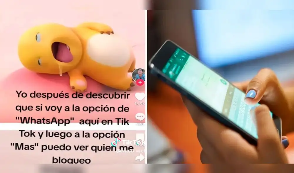 El truco de WhatsApp que se viralizó en TikTok es falso. Foto: composición LR/TikTok/Andro4all