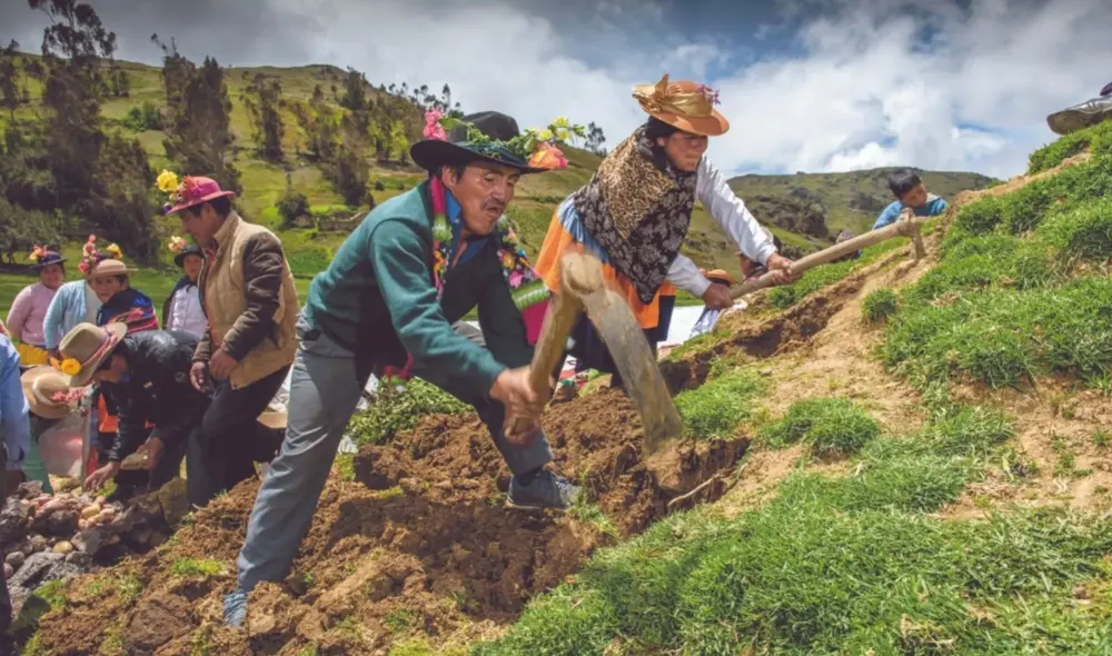 El 24 de junio es una fecha que busca reconocer la función de los trabajadores del campo. Foto: Centro Peruano de Estudios Sociales El 24 de junio es una fecha que busca reconocer la función de los trabajadores del campo. Foto: Centro Peruano de Estudios Sociales