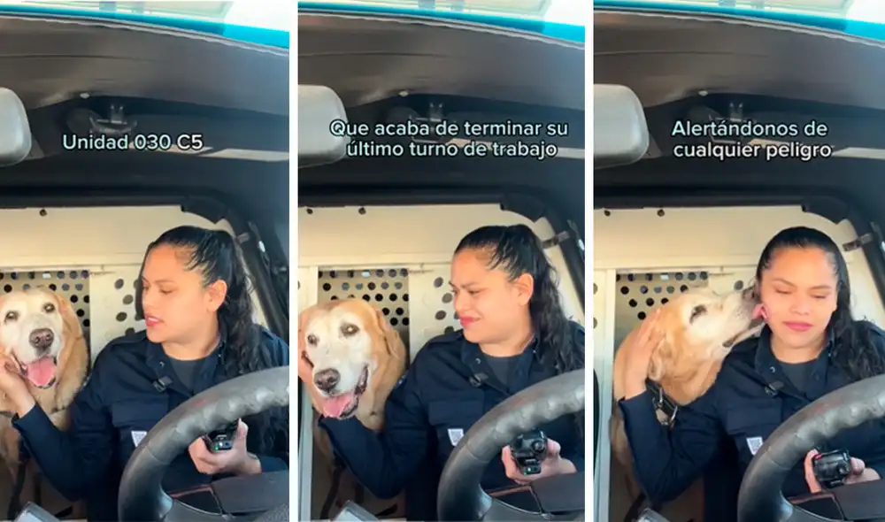 A través de los comentarios, la joven reveló que Bubu fue adoptado. Foto: composición LR / capturas de TIkTok / @Tonoastiazaran