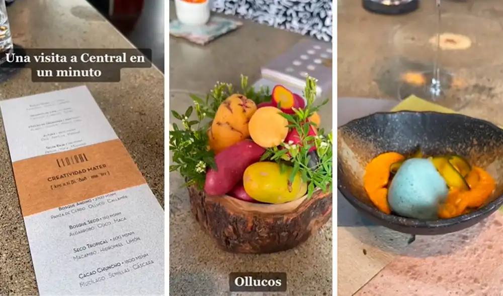 Los comensales quedaron gratamente satisfechos con la experiencia vivida en Central. Foto: composición LR/capturas de TikTok/@Mtserpa Los comensales quedaron gratamente satisfechos con la experiencia vivida en Central. Foto: composición LR/capturas de TikTok/@Mtserpa