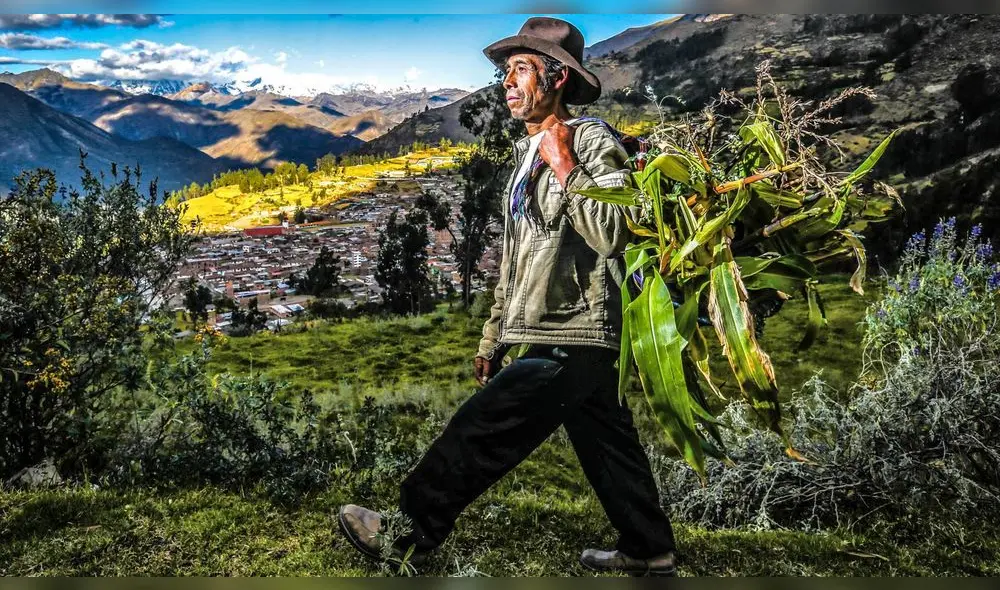 El campesino al tener una labor importante en el Perú hace que su día sea motivo de celebración. Foto: Andina.