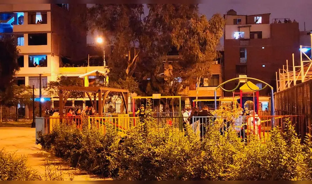 Vecinos denuncian que no es la primera vez que suceden accidentes en los juegos del parque de Ate. Foto:  Bárbara Mamani / URPI-LR