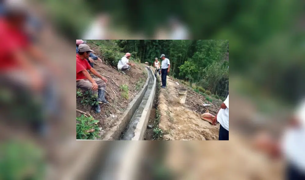 El Ejecutivo deberá reglamentar la norma en 120 días calendario contados desde ayer. Foto: Andina