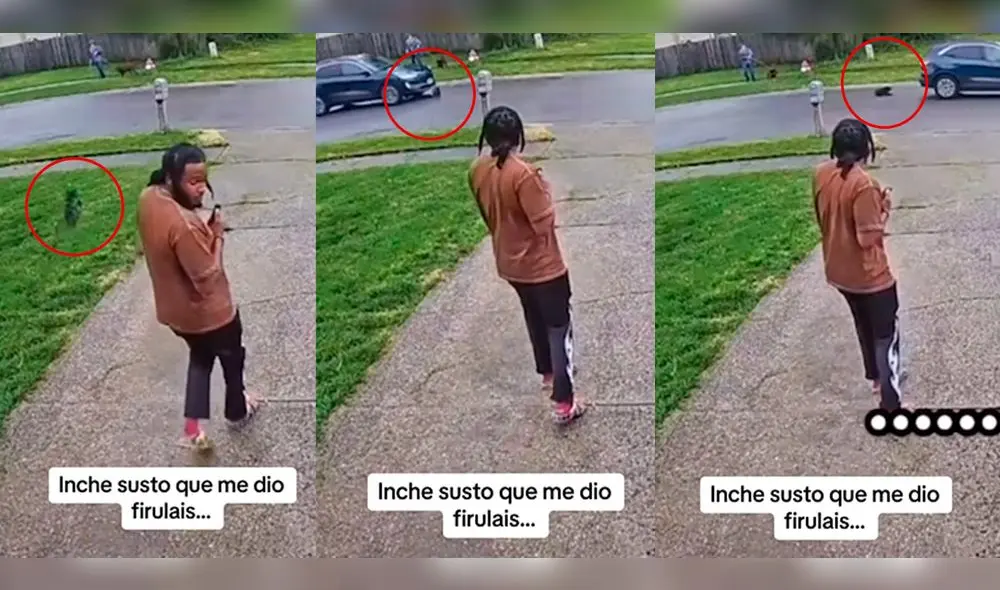 El dueño no supo cómo reaccionar en el momento. Foto: composición LR/TikTok/@arturo.flores8