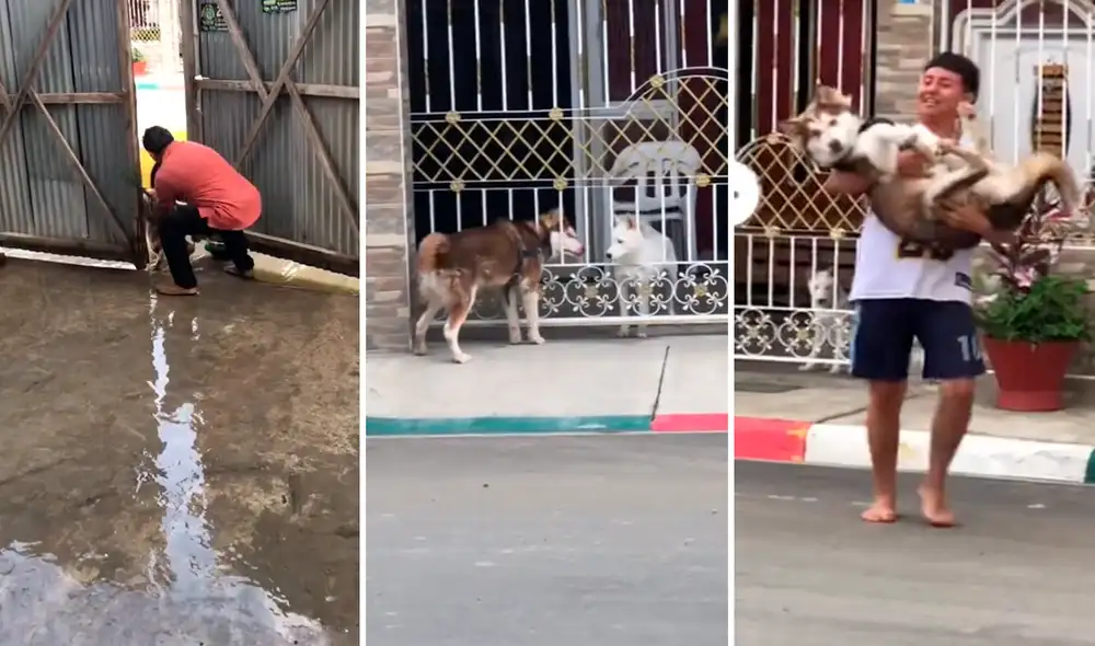 Usuarios pidieron dejarlo unos minutos con su amor perruno. Foto: composición LR/@Ab.betsymoreira1/TikTok Usuarios pidieron dejarlo unos minutos con su amor perruno. Foto: composición LR/@Ab.betsymoreira1/TikTok