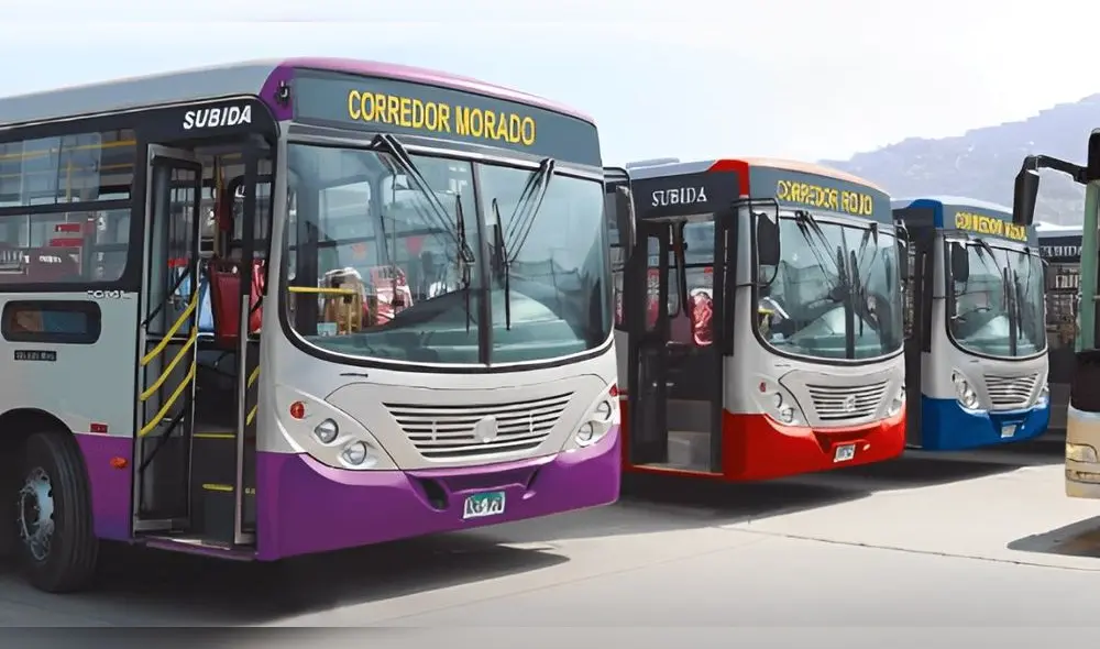 Conoce por qué los corredores complementarios dejarían de operar en Lima. Foto: difusión Conoce por qué los corredores complementarios dejarían de operar en Lima. Foto: difusión