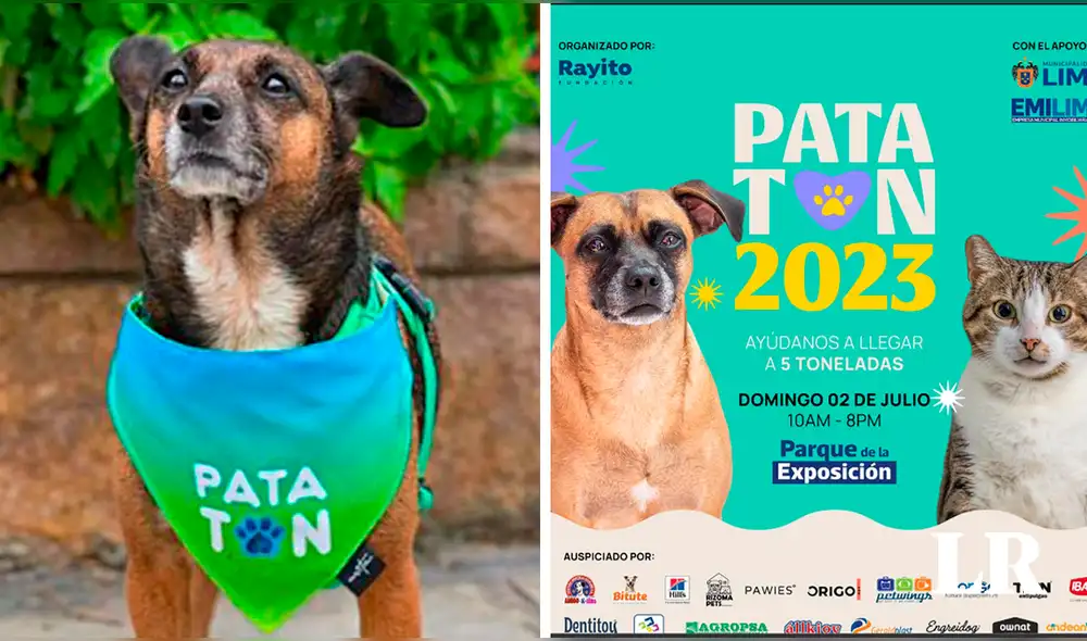 Encontrarás todos los implementos necesarios para consentir a tu compañero peludo. Foto: composición de Fabrizio Oviedo/La República/Patatonoficial Encontrarás todos los implementos necesarios para consentir a tu compañero peludo. Foto: composición de Fabrizio Oviedo/La República/Patatonoficial