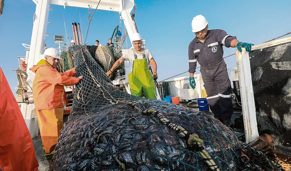 Los pescadores solicitan la reanudación de sus labores para no afectar la economía. Foto: Andina Los pescadores solicitan la reanudación de sus labores para no afectar la economía. Foto: Andina