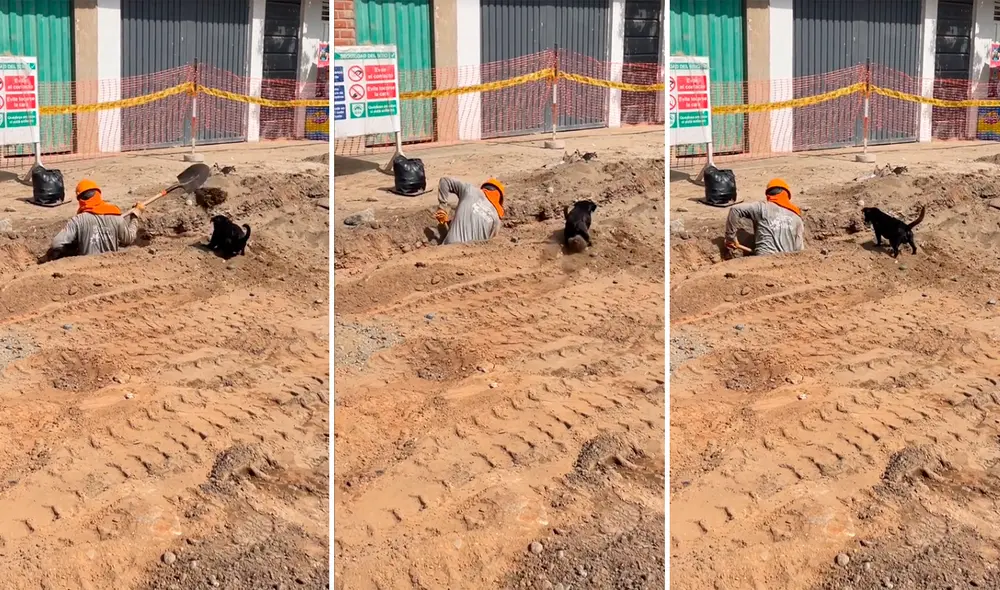 El video de la curiosa escena acaparó las miradas de miles de usuarios en TikTok. Foto: composición LR/TikTok/@SantiagoRamirezmo7