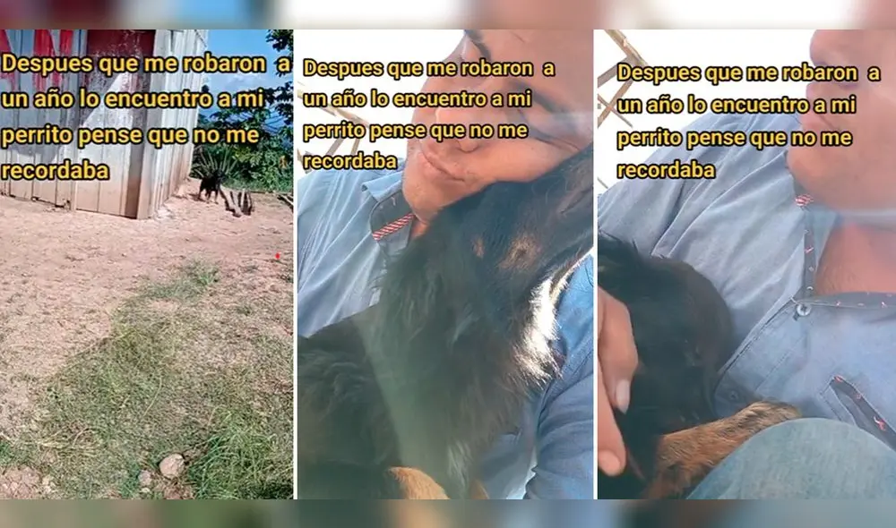 Usuarios quedaron conmovido tras ver la tierna escena. Foto: composición LR/TikTok/@abelmorpazz Usuarios quedaron conmovido tras ver la tierna escena. Foto: composición LR/TikTok/@abelmorpazz