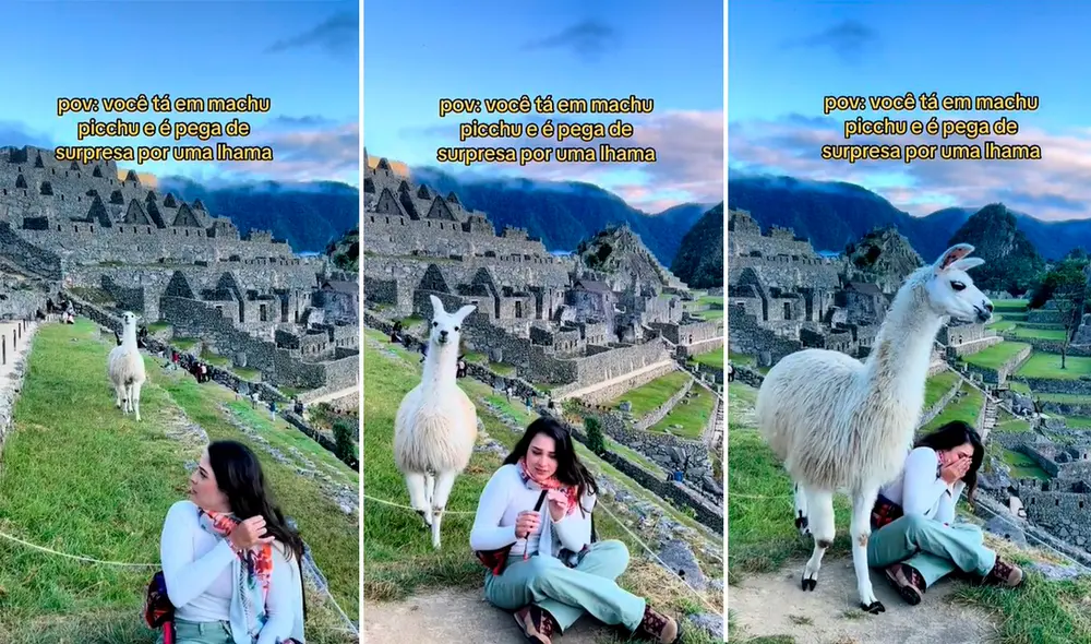 Los cibernautas comentaron que hubiese sido una gran foto si no se asustaba por las llamas. Foto: composición LR/capturas de TikTok/@Anajgota Los cibernautas comentaron que hubiese sido una gran foto si no se asustaba por las llamas. Foto: composición LR/capturas de TikTok/@Anajgota