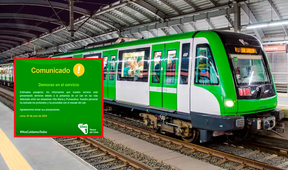 Línea 1 comunicó que activó protocolos para rescatar al can. Foto: Metro de Lima