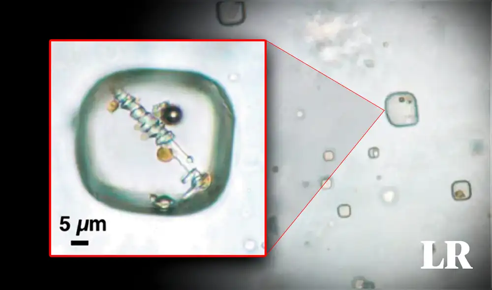 Muestras de halita podrían contener seres microscópicos muy antiguos. Foto: composición de Fabrizio Oviedo / La República / Kathy Benison