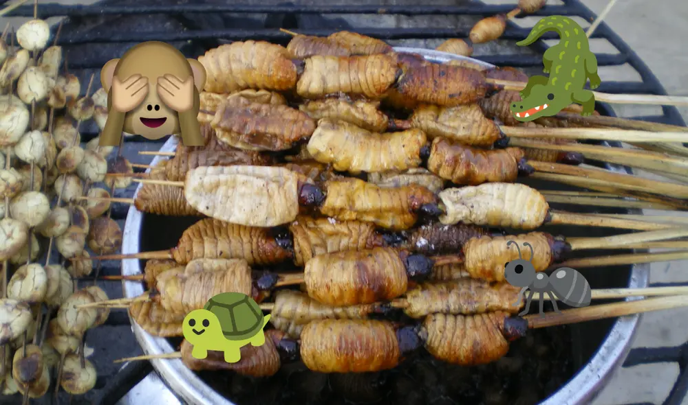 La selva es lugar de algunas de las recetas más interesantes de la gastronomía peruana. Foto: composición LR/Sudamérica hoy/WhatsApp