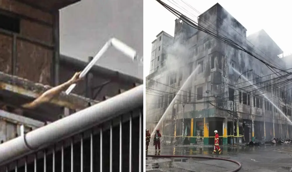 Mininter pide recompensa por paradero de dueña de contenedor de Nicollini. Foto: Infobae Mininter pide recompensa por paradero de dueña de contenedor de Nicollini. Foto: Infobae