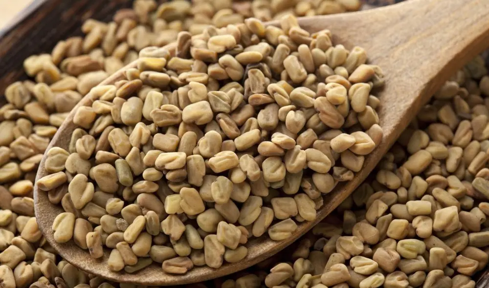 Fenogreco: ¿cuál es su función y por qué lo consumen algunos hombres? Foto: Alimente