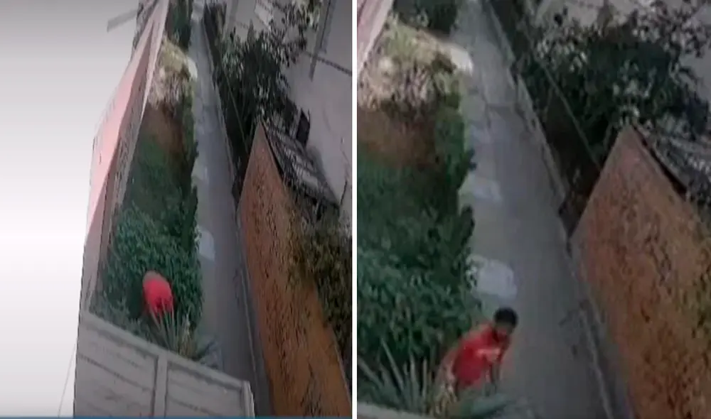 El sujeto fue denunciado por los vecinos de la zona y lograron poner a buen recaudo a la perrita que sufrió maltratos. Foto: 24 Horas| Video: 24 Horas El sujeto fue denunciado por los vecinos de la zona y lograron poner a buen recaudo a la perrita que sufrió maltratos. Foto: 24 Horas| Video: 24 Horas