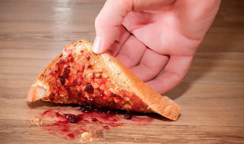 Las bacterias se adhieren rápidamente a los alimentos que caen al suelo. Foto: Adobe Stock