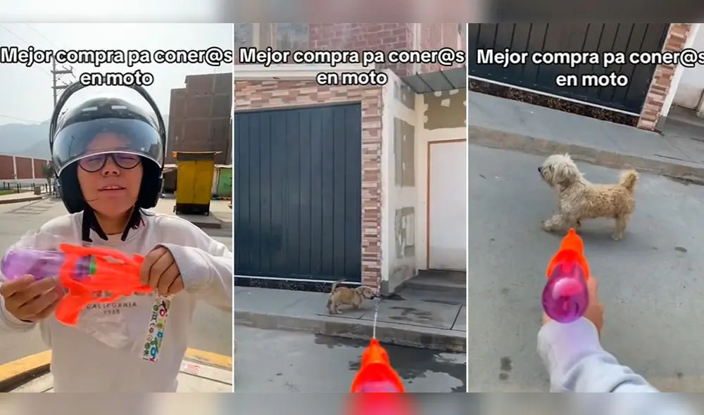 Los usuarios no dudaron en reaccionar con diversos comentarios. Foto: composición LR/ TikTok/@1amshannyvg