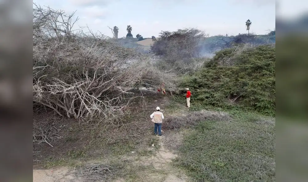 Se reporta incendio en Chan Chan. Foto: Yolanda Goicochea/La República