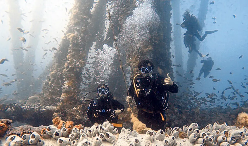 Espacio turístico. La plataforma MX1 es un sitio de buceo y promueve el turismo en Los Órganos. Los visitantes disfrutan. Foto: Chelonia Dive Center
