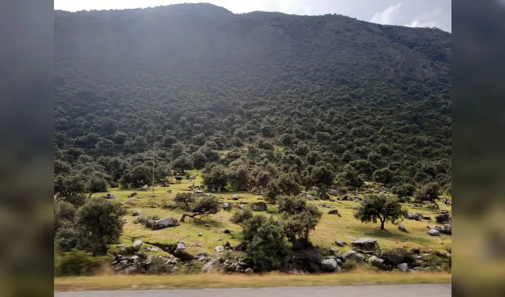 Se busca así salvar diversas cuencas de la sierra peruana. Fuente: Difusión Se busca así salvar diversas cuencas de la sierra peruana. Fuente: Difusión