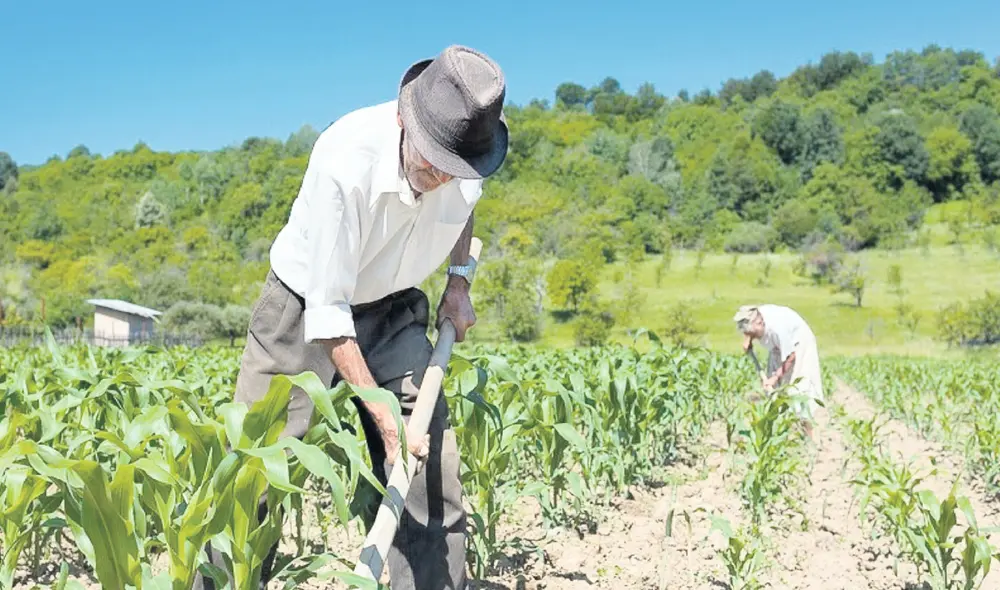 Panorama. En condiciones climáticas “normales”, Latinoamérica “tiene potencial para suplir las brechas” de producción generadas por la invasión a Ucrania. Foto: difusión