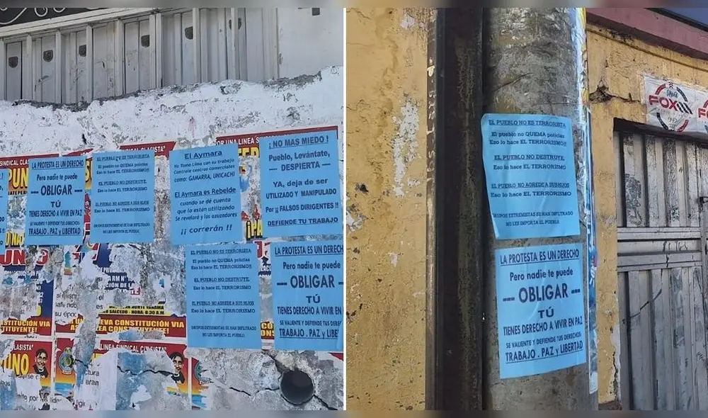 Afiches aparecieron esta mañana. Foto: composición LR/Diario Sin Fronteras