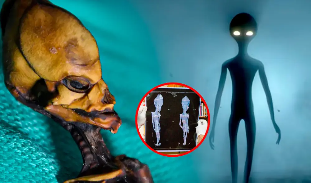 La 'momia extraterrestre' de Atacama fue vendida en 2012 a un español y ha sido objeto de varios estudios. Foto: composición LR/Freepik/Emery Smith