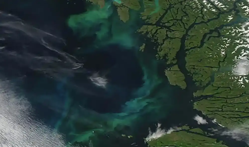 El color del océano ha cambiado en los últimos 20 años. Foto: Nasa