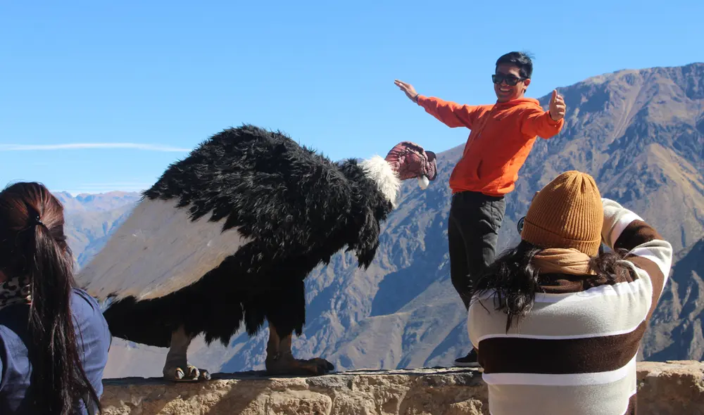 Arequipa y su cañón del Colca es un gran atractivo. Foto: Rosario Ticona/LR