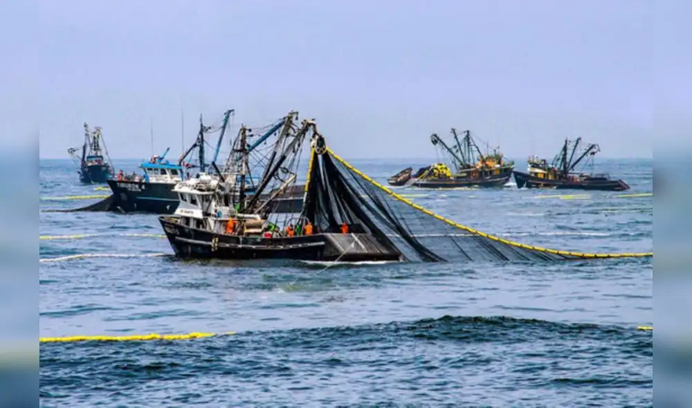La cancelación de la primera temporada de pesca de anchoveta habría afectado al PBI de mayo. Foto: Produce La cancelación de la primera temporada de pesca de anchoveta habría afectado al PBI de mayo. Foto: Produce