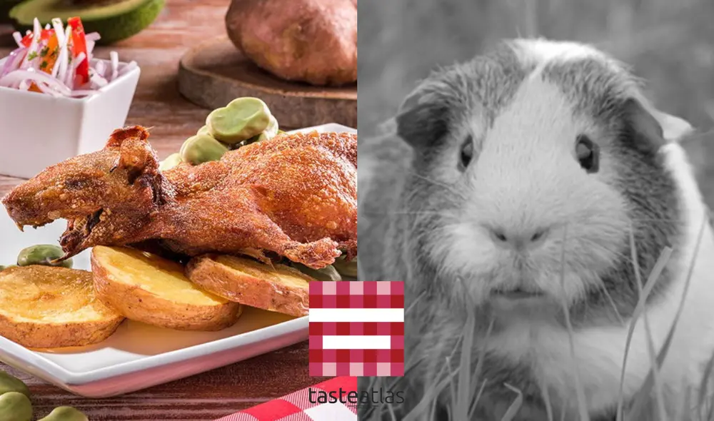 El cuy chactado o frito obtuvo 3,3 estrellas de calificación en Taste Atlas. Foto: composición LR/Tipika/Gobierno del Perú/Taste Atlas El cuy chactado o frito obtuvo 3,3 estrellas de calificación en Taste Atlas. Foto: composición LR/Tipika/Gobierno del Perú/Taste Atlas